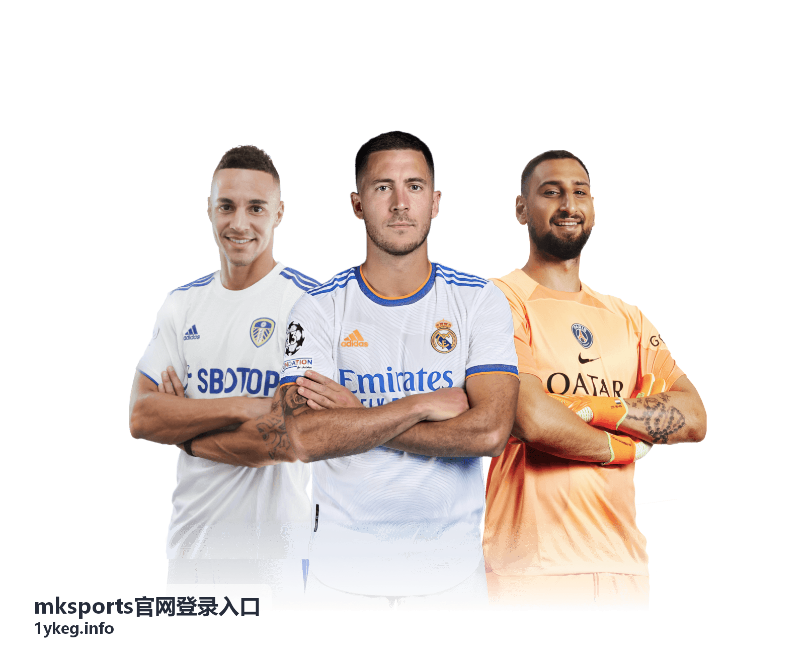 mksports官网登录入口常见报错处理清单