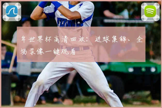 年世界杯高清回放：进球集锦、全场录像一键观看