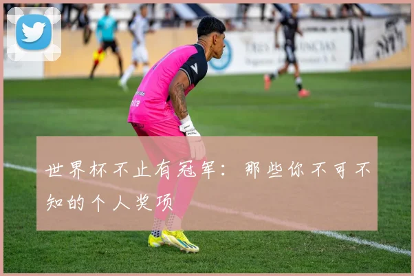 世界杯不止有冠军:那些你不可不知的个人奖项