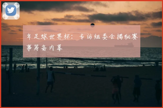 年足球世界杯:专访组委会揭秘赛事筹备内幕