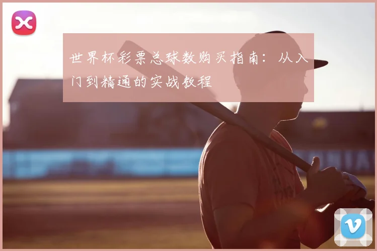 世界杯彩票总球数购买指南：从入门到精通的实战教程