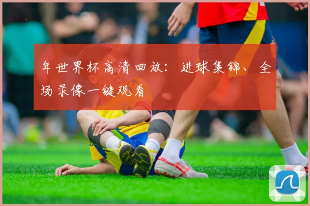 年世界杯高清回放：进球集锦、全场录像一键观看