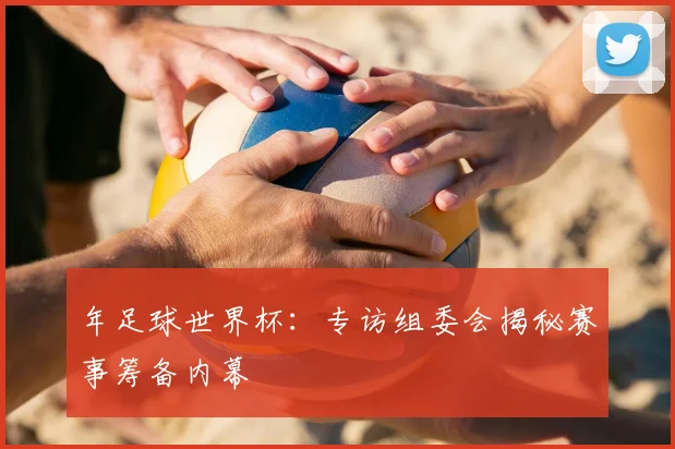 年足球世界杯:专访组委会揭秘赛事筹备内幕