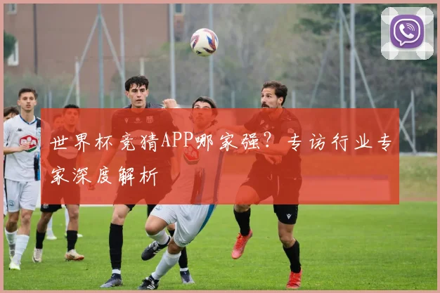 世界杯竞猜APP哪家强？专访行业专家深度解析
