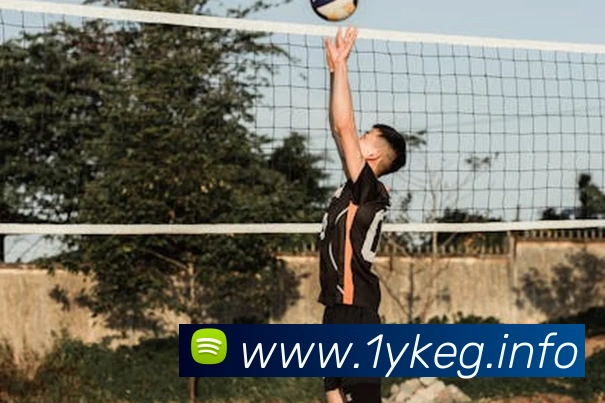 九游j9网页版发展历程